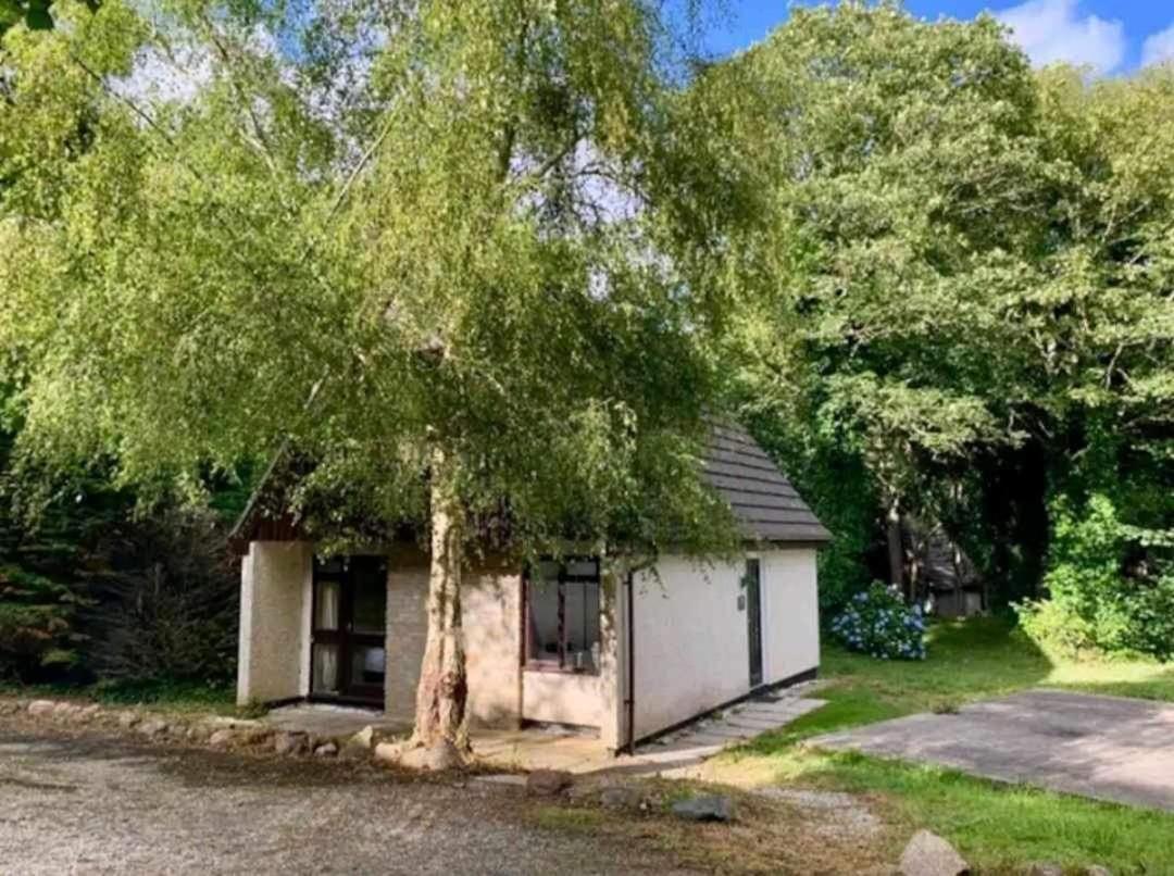 St Ives Bluebell Cottage Ngoại thất bức ảnh